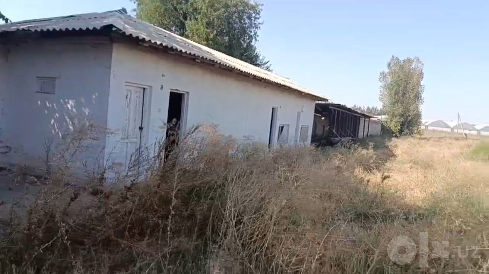 1 gektar yer sotiladi