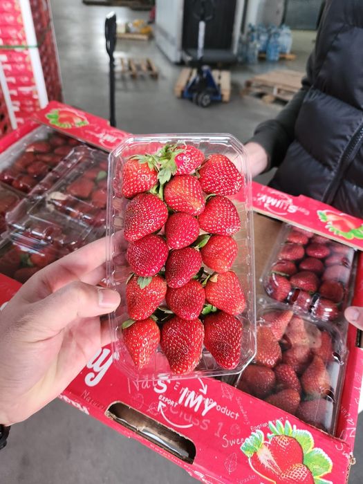 Египетская клубника