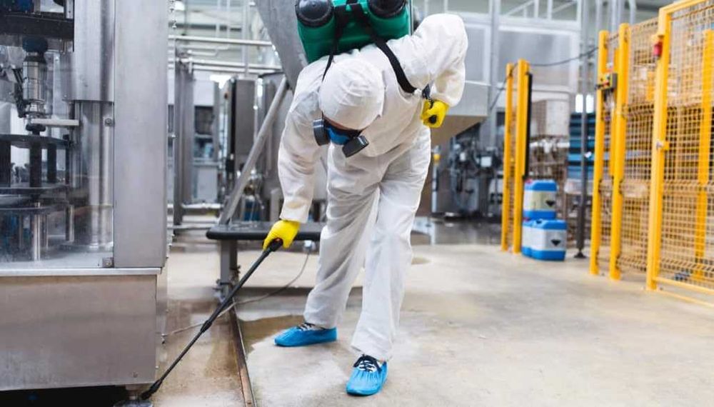 дезинфекция клопов дезинфекция от клопов dezinfeksiya tashkent klapa