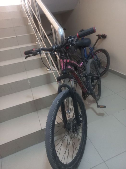 Вейлик бағасы қол жетімді