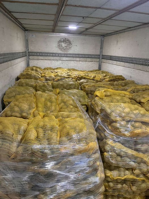 Картофи гр.Смолян