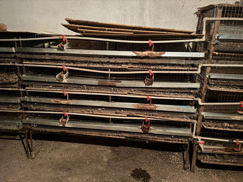 Сетки для птиц бодене