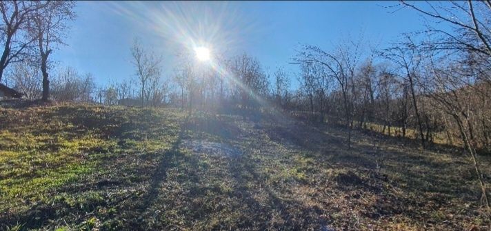 Teren Poiana Campina