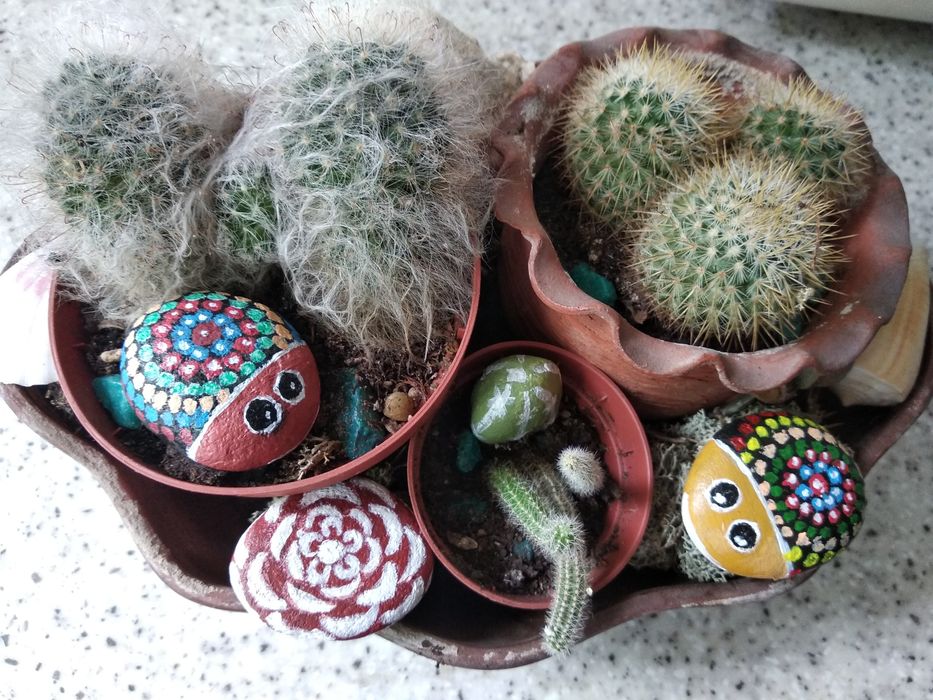 Декор Комнатных цветов