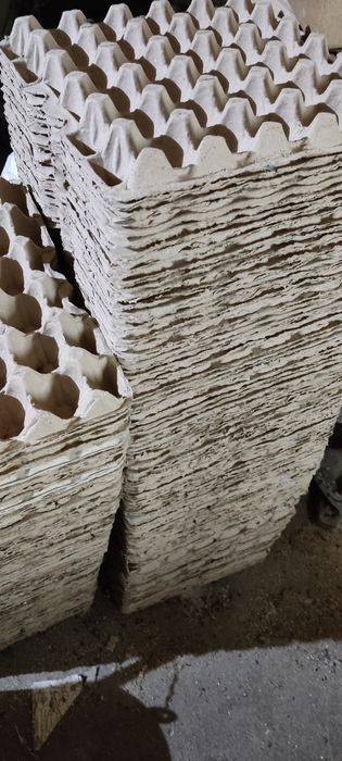 Лотки для яиц . Картонные.