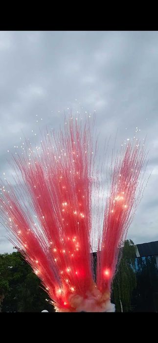 Artificii 2026 zi/seara Gender reveal