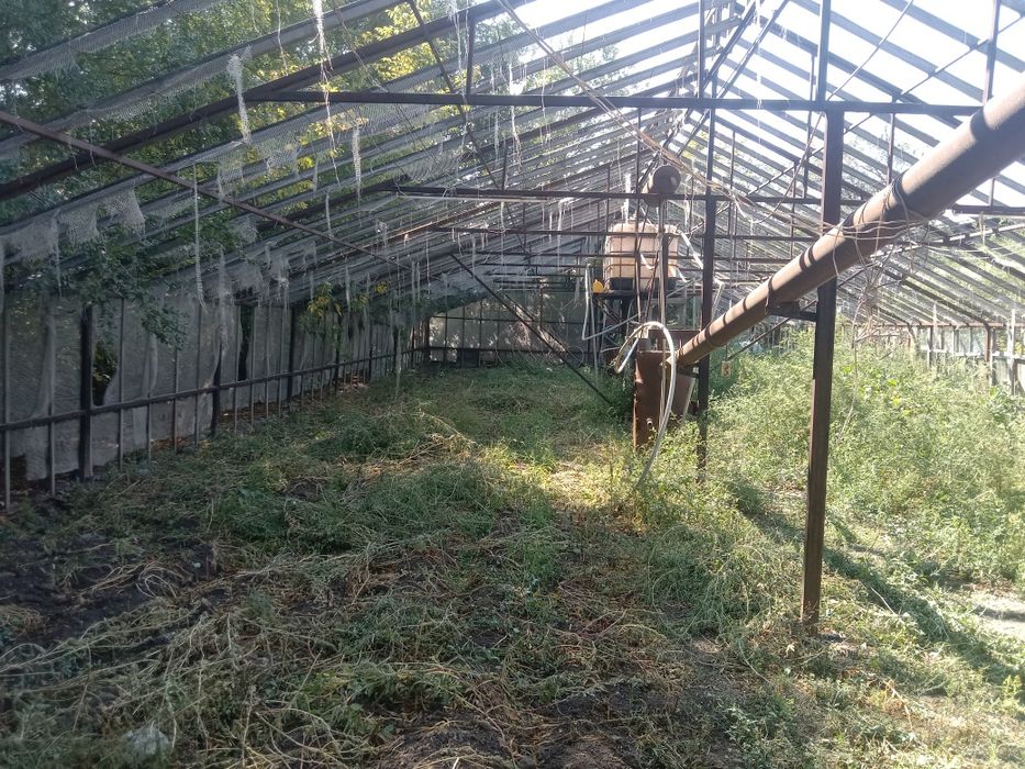 Сдам в аренду теплицу