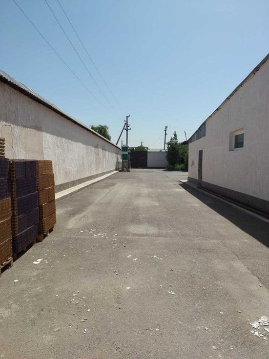 Продаётся готовый бизнес в Мирзо-Улугбекском, Учхоз. Земля 50 соток