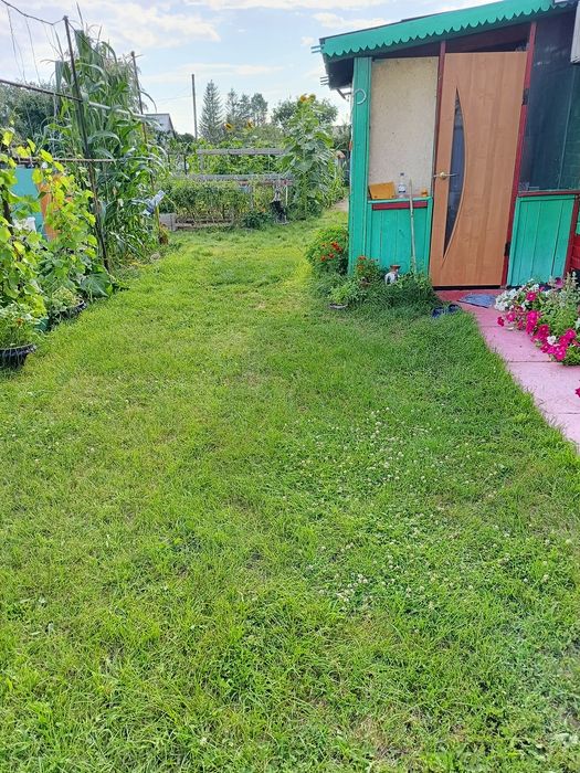 Продам дачу Сад Реченька