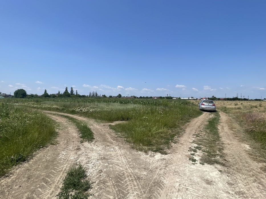 Teren Tartasesti/Baldana 25min Buc 1030mp la 500m de Scoala Tartasesti