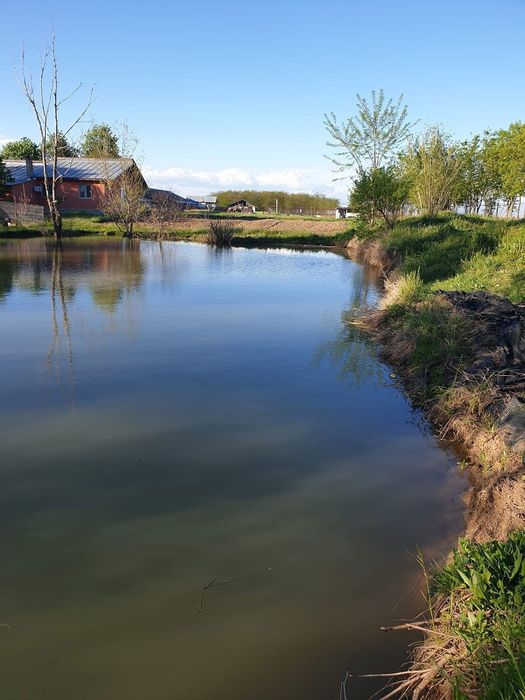 Teren  intravilan/extravilan