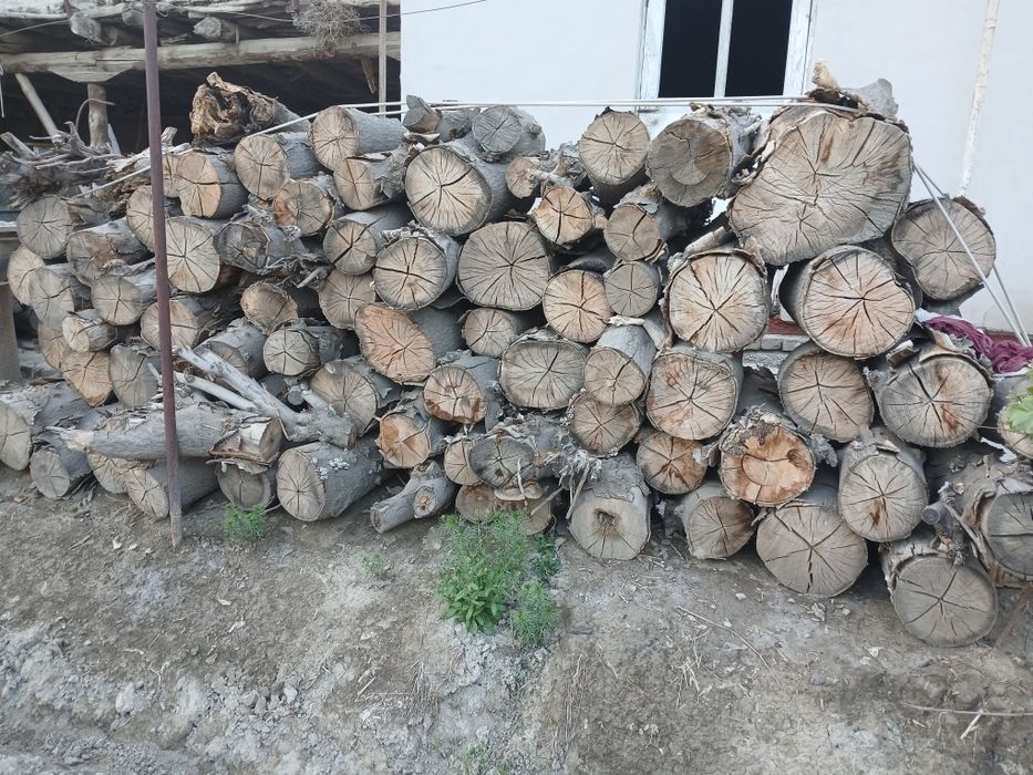 O'tinlar sotiladi Eski shahar Navoiy viloyatida Kelis