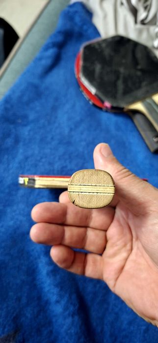 Lemn de paletă pentru tenis de masă Dr. Neubauer Bloodhound ALL+