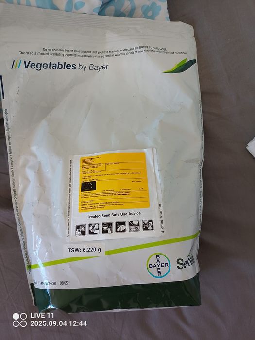 Semințe Ceapă Shakito hibrid alb/roșu