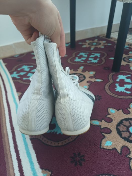 Продается боксерка