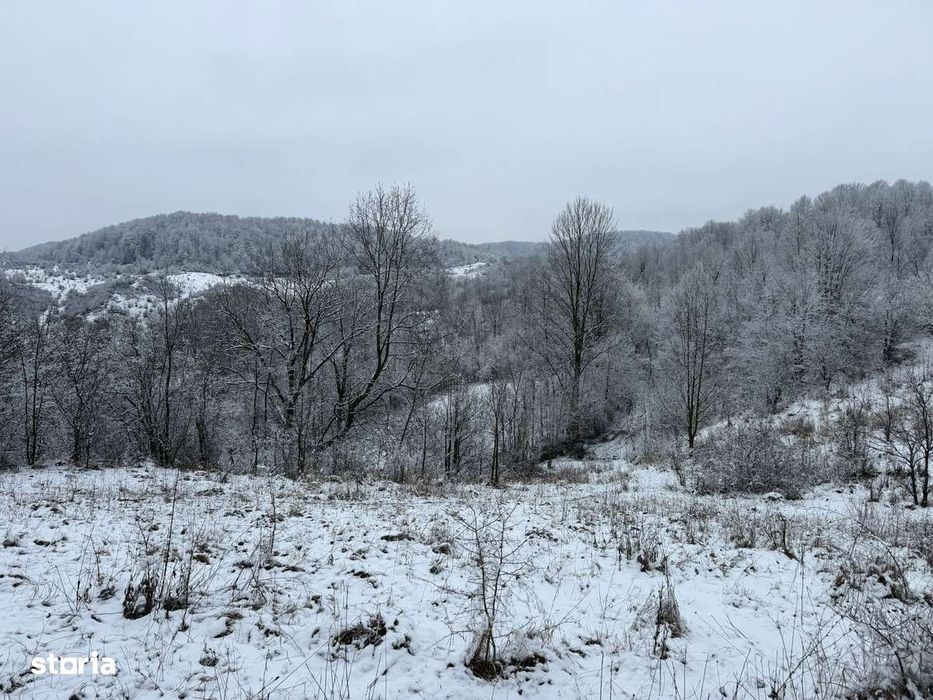 Provița de Jos - teren 3824mp - 18 Euro/mp Neg.