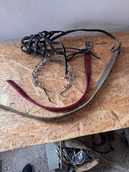 Accesorii Premium pentru Câini