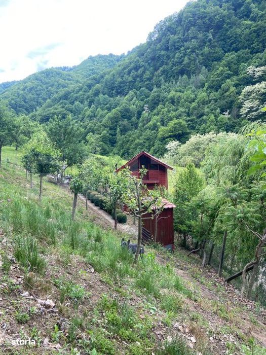 Casa de vacanta cu 4 camere, 1470 mp teren, Sugag