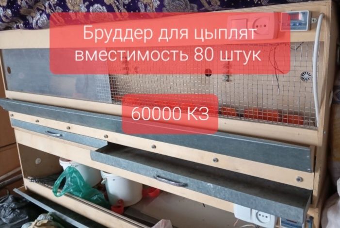 Продам Инкубатор