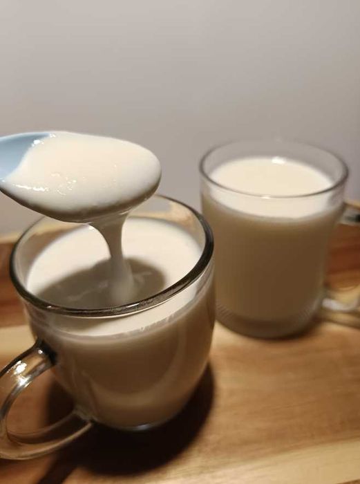 Ciuperca kefir (chefir) de lapte autentică | Granule vii pentru prepararea kefirului | Ghid complet de utilizare inclus | Cultură activă