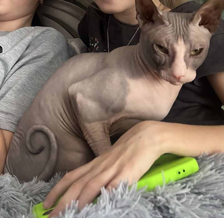 Ваша киска в зоне риска