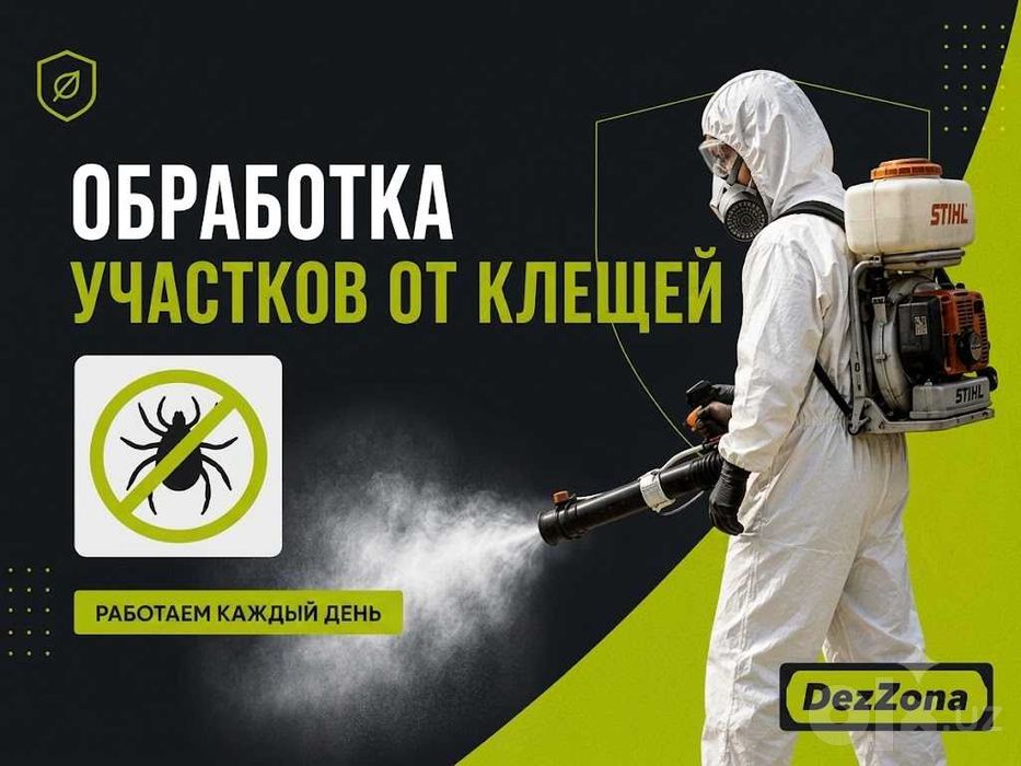 Дезинфекция | Dezinfeksiya klopa | Клопы тараканы | Ташкент 24/7