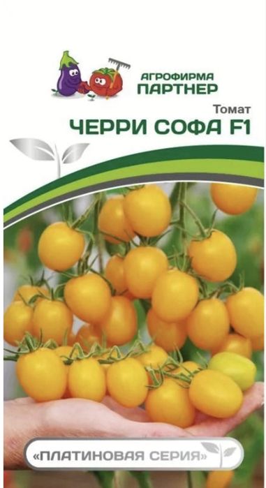 Рассада томатов крепкая