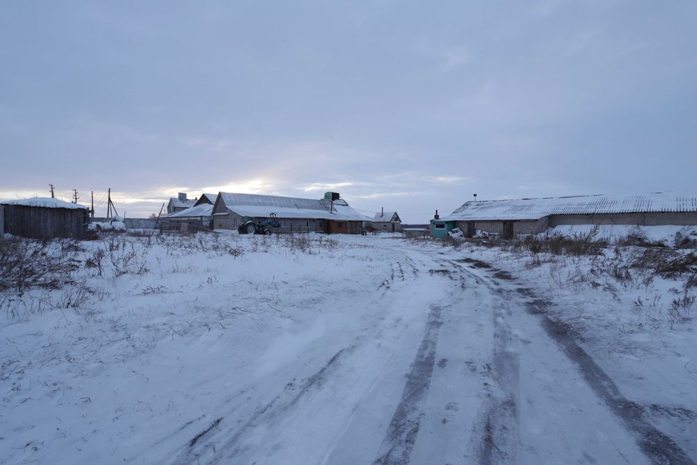 Продажа здания в поселке Новоселовка