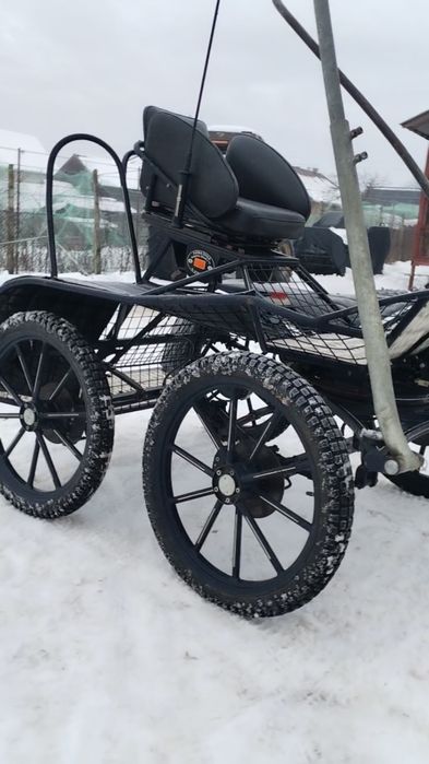 Trăsură maraton de 1 cal