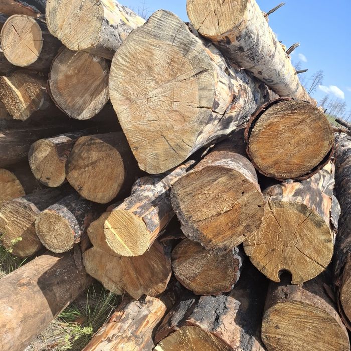 Продам деловой кругляк