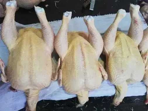 Мясо кур домашнее