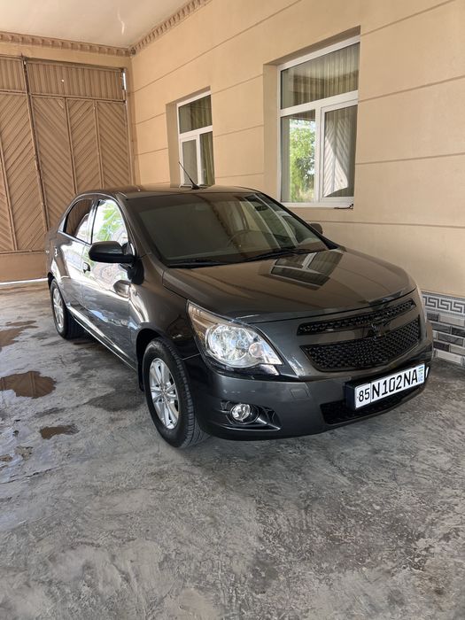 Cobalt 2024 full navarot