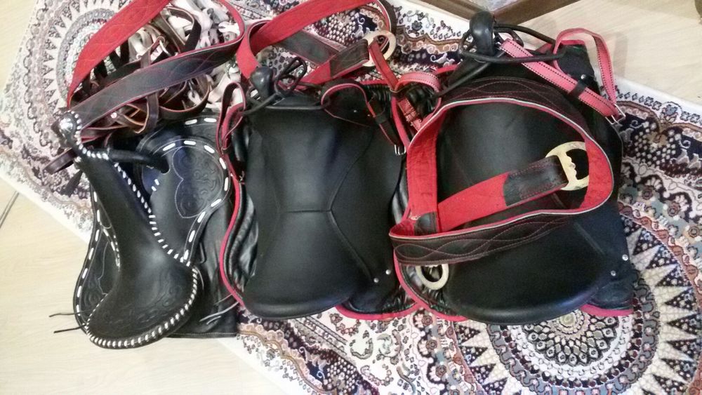 Продам путы, седла