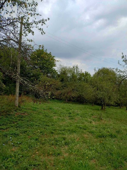 Продава се Парцел в с. Рибарица, Област Ловеч - 1765 кв.м за 26 €/кв.м - Снимка #1