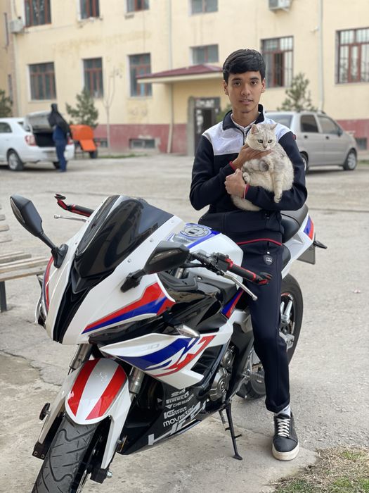 Серебристая Шиншилла