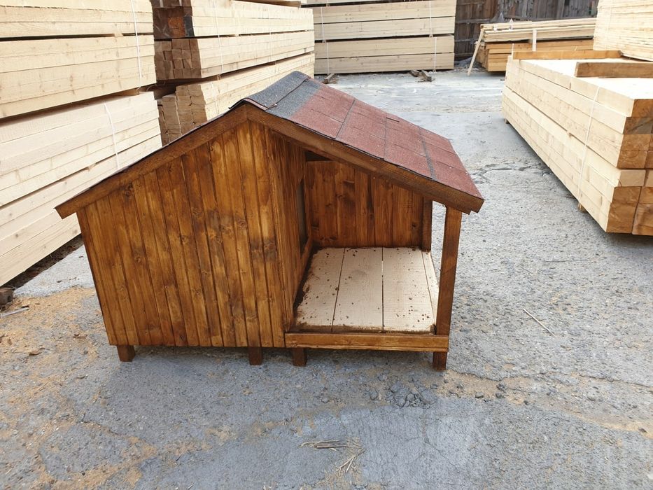 Coteț caine chitila