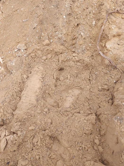 Подарявам песъчлива почва / пръст