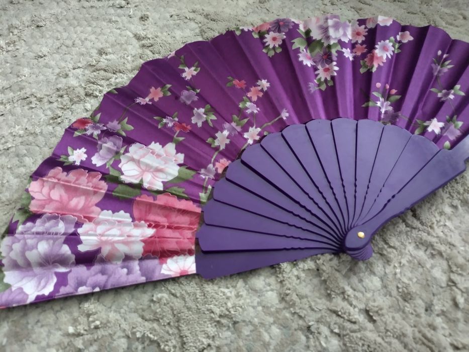 Ветрило от Виетнам