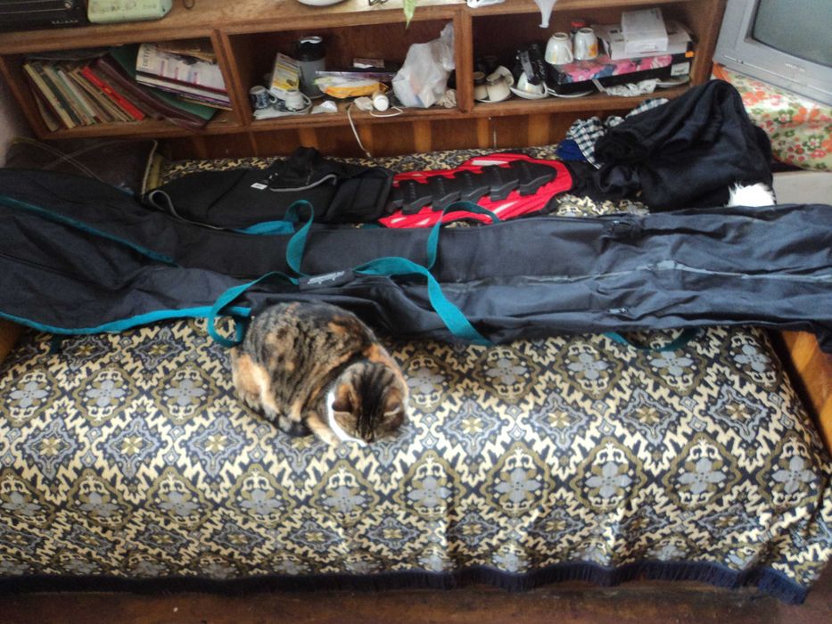 калъф за ски 2м.