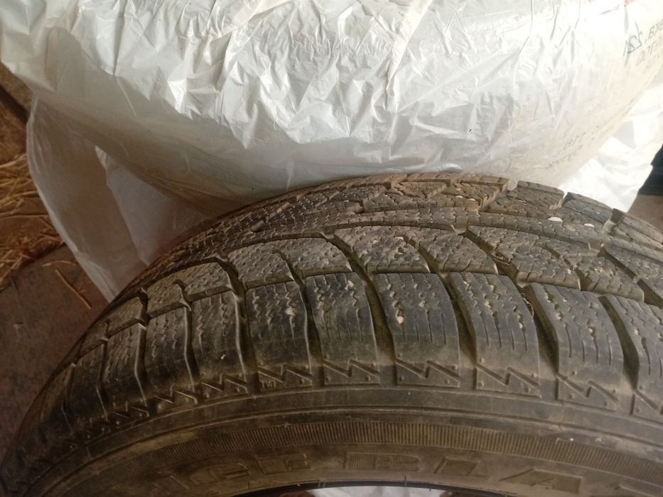 Зимние шины сайлун