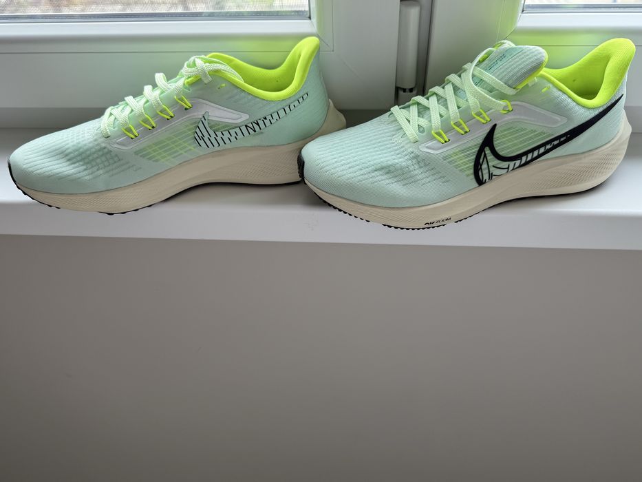 Nike air zoom Pegasus 39