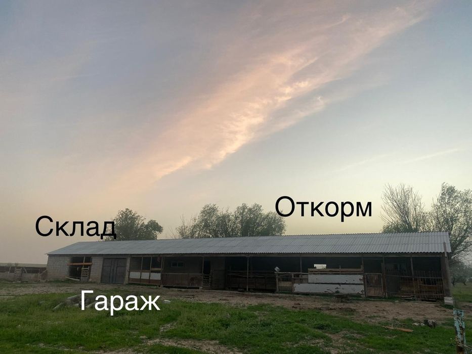Срочна сатылады  егіс жерімен