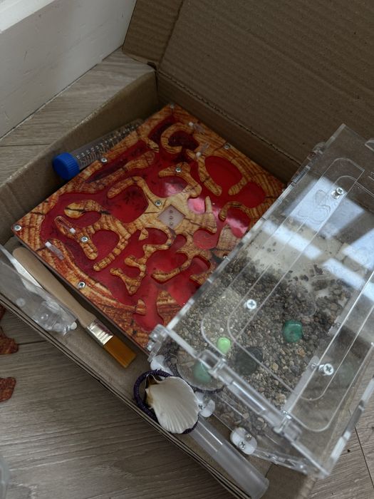 Продам муравьиную ферму с муравьями