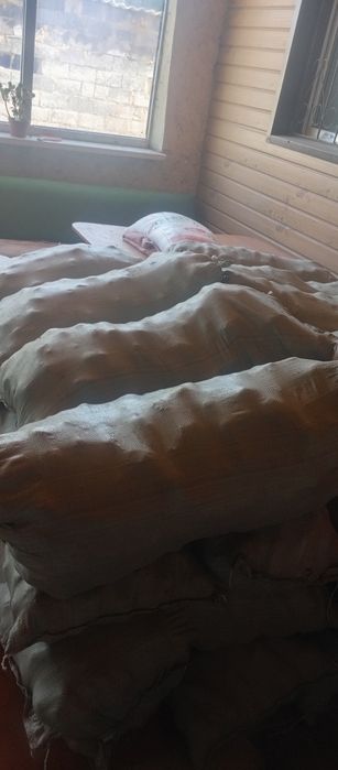 Продам местную кортошку