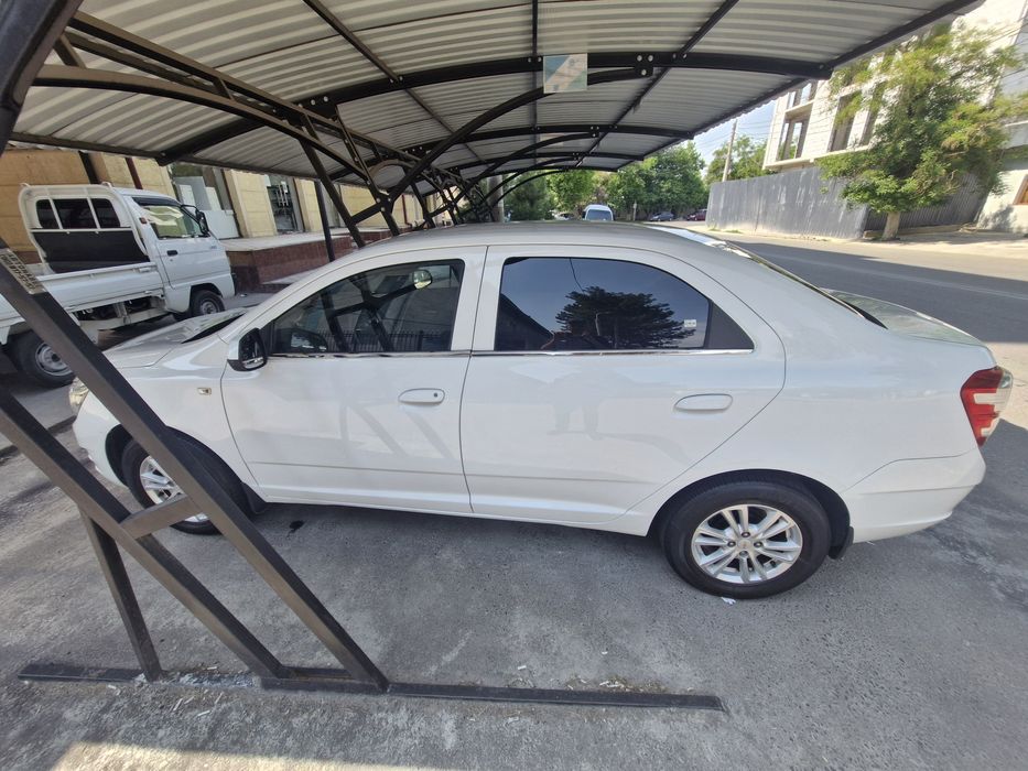 Собалт 2020 автомат краска 100 % тоза