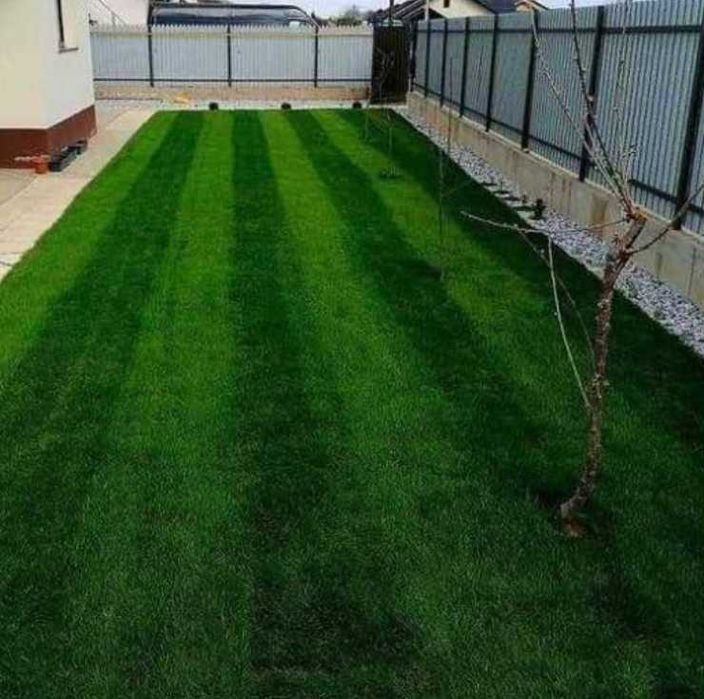 Gazon Rulou Sisteme de Irigare