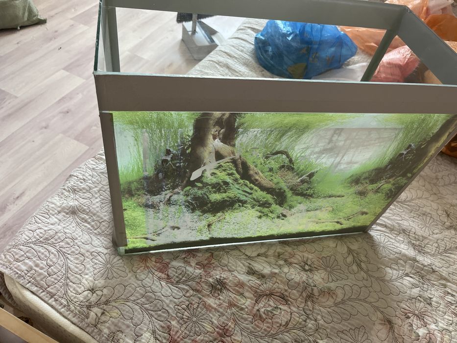 Аквариум хороший!