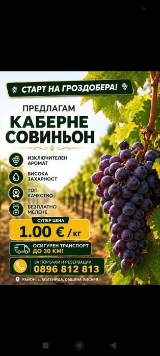 Продавам грозде- Мускат- Тамянка, Каберне Сувиньон, Мерло, Ркцители