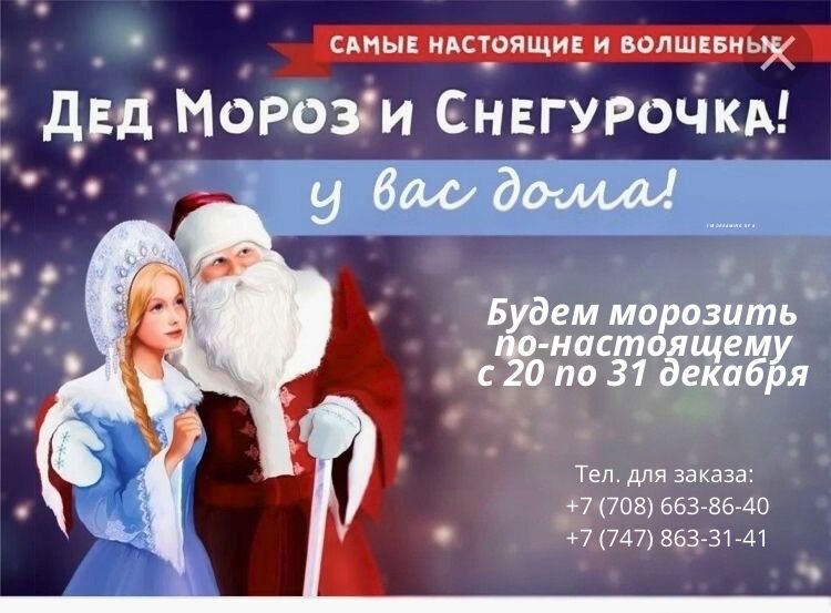 Дед Мороз и Снегурочка у Вас дома!