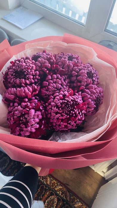 Продам цветы дешево